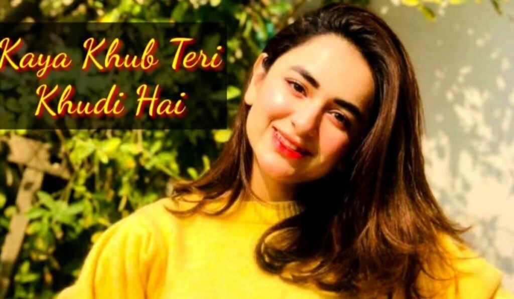 Yumna Zaidi Net Worth & Income